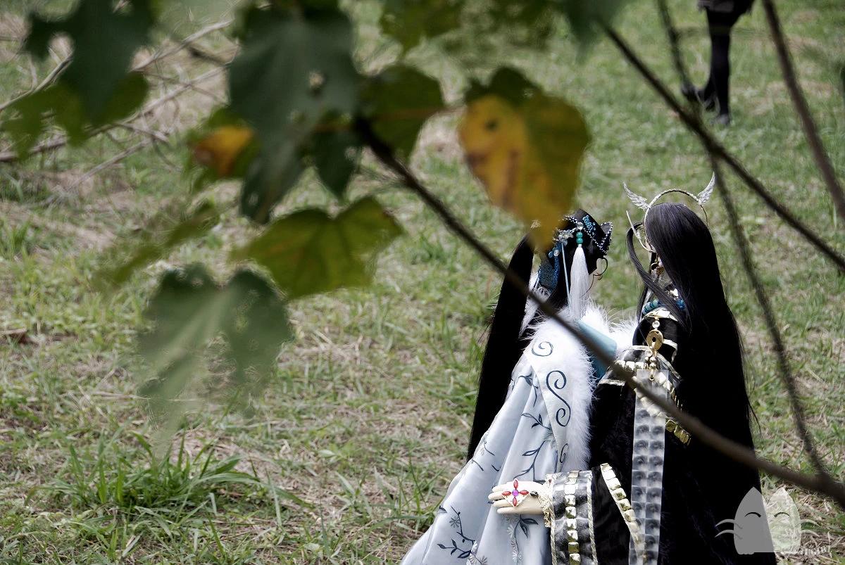 伏嬰師&棄天帝