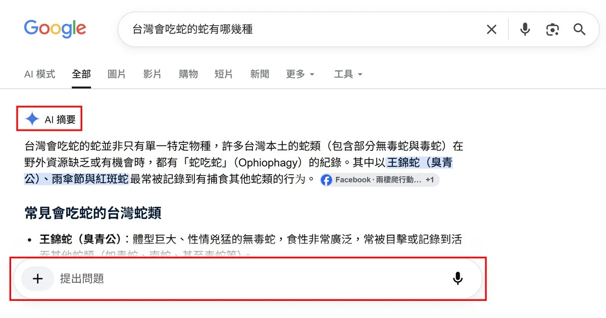 Google搜尋下的AI摘要
