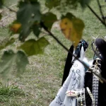 伏嬰師&棄天帝