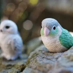 肉桂鸚鵡&雪鴞